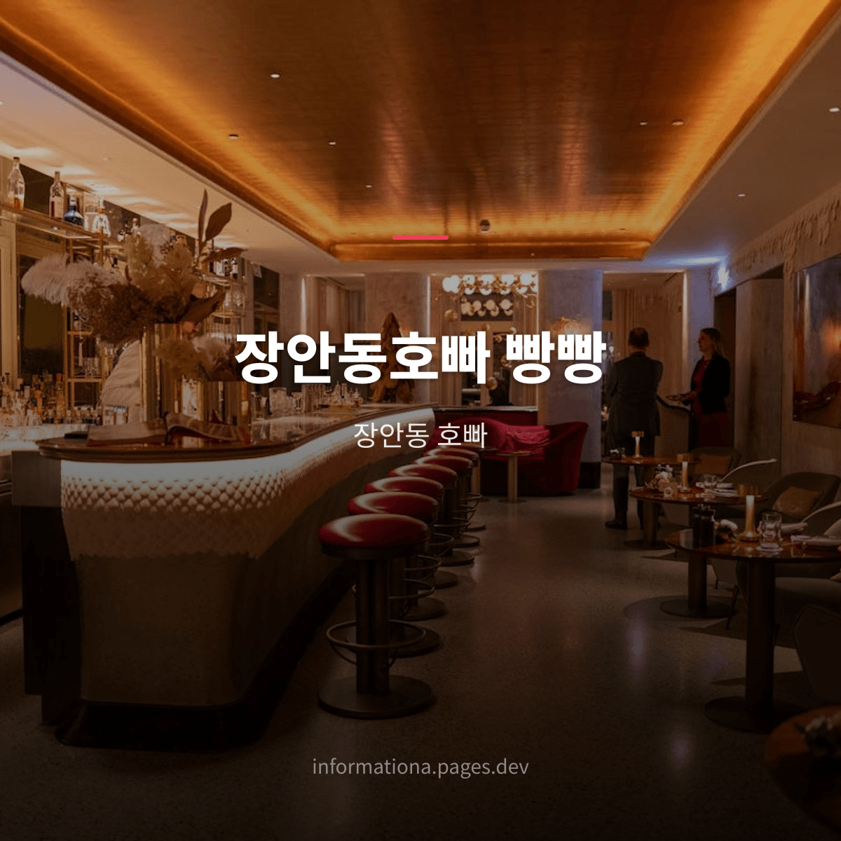 장안동호빠 빵빵