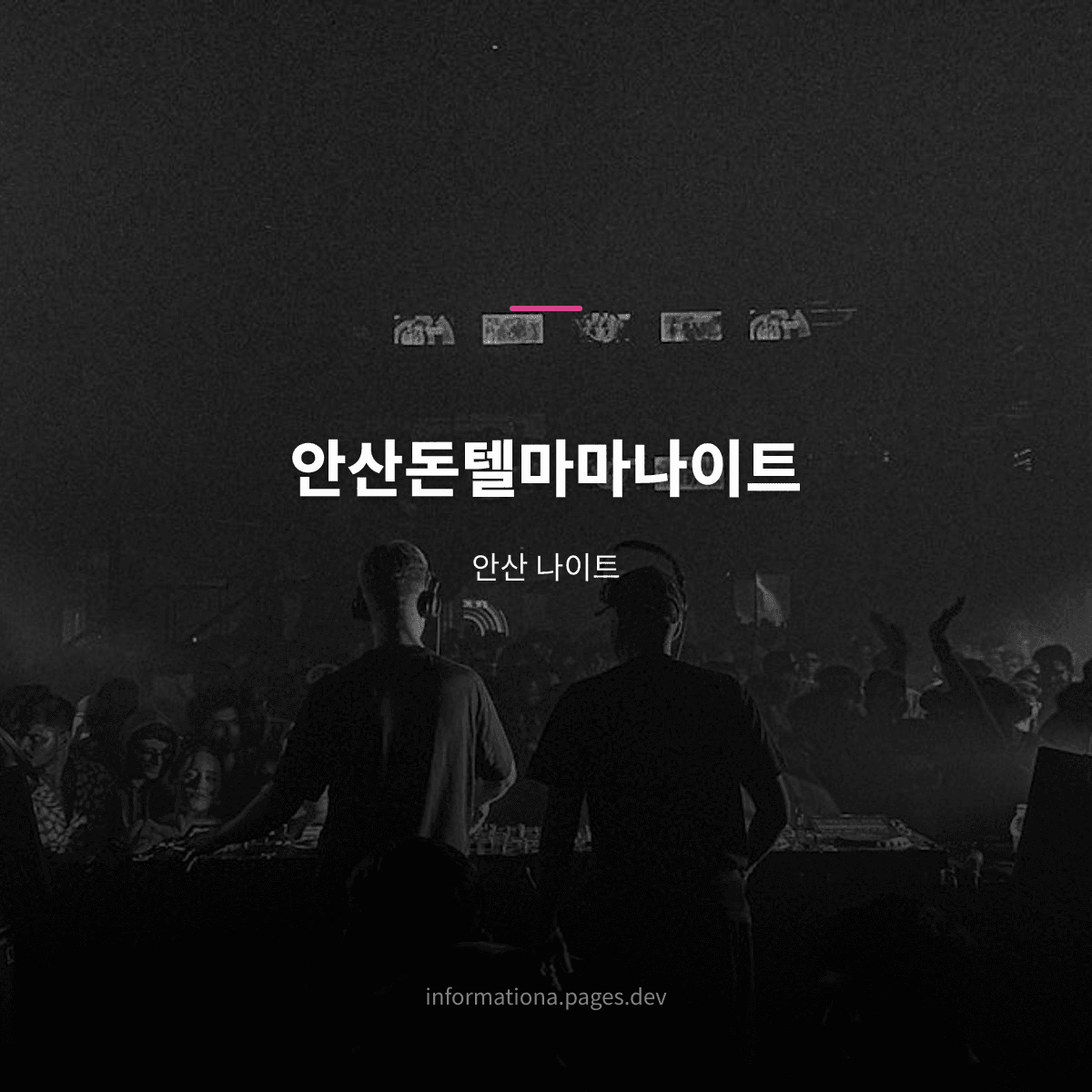 안산돈텔마마나이트