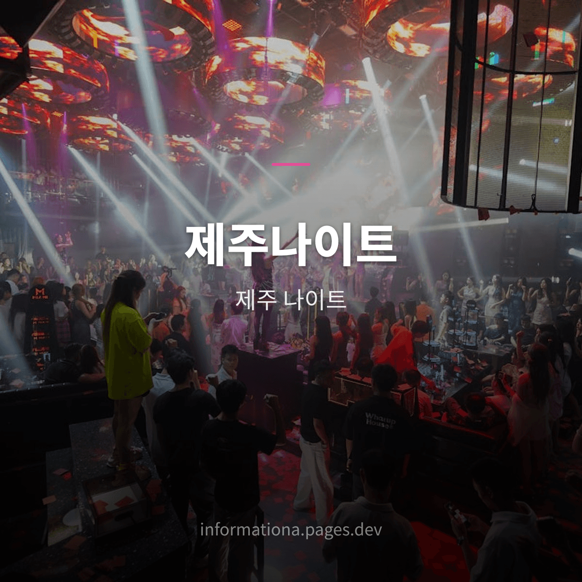 제주나이트