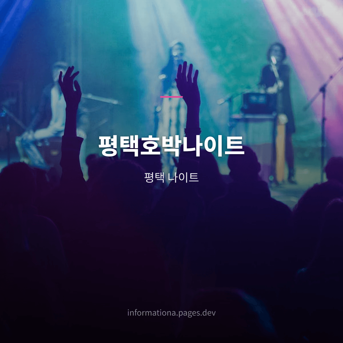 평택호박나이트